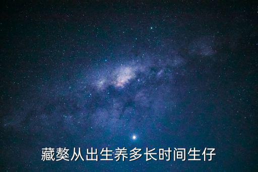 藏獒從出生養(yǎng)多長時間生仔