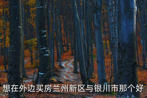 想在外邊買(mǎi)房蘭州新區(qū)與銀川市那個(gè)好