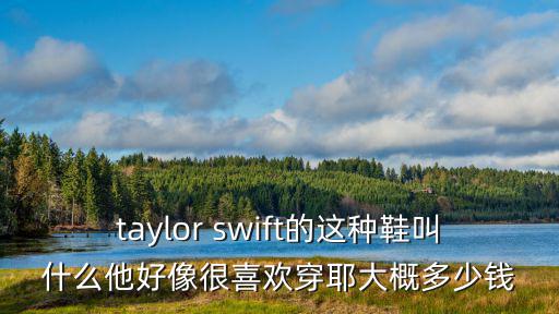 taylor swift的這種鞋叫什么他好像很喜歡穿耶大概多少錢