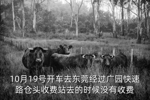10月19號(hào)開(kāi)車(chē)去東莞經(jīng)過(guò)廣園快速路倉(cāng)頭收費(fèi)站去的時(shí)候沒(méi)有收費(fèi)