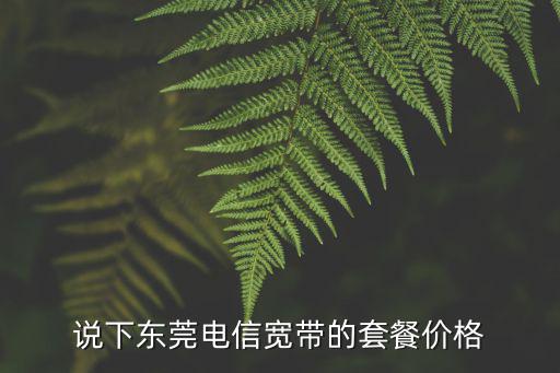 說下東莞電信寬帶的套餐價格