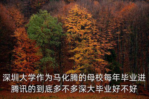 深圳大學作為馬化騰的母校每年畢業進騰訊的到底多不多深大畢業好不好