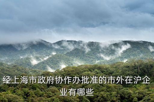 經(jīng)上海市政府協(xié)作辦批準(zhǔn)的市外在滬企業(yè)有哪些