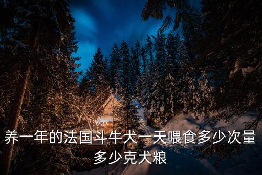 養一年的法國斗牛犬一天喂食多少次量多少克犬糧