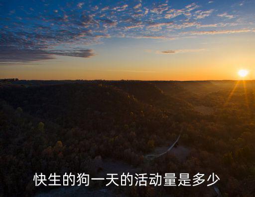 快生的狗一天的活動量是多少