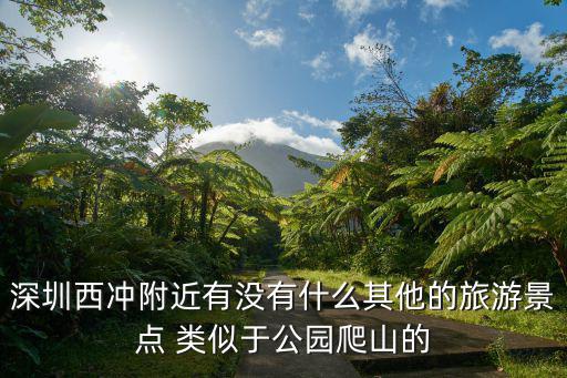 深圳哪里可以暈游艇，請問深圳到澳門的船暈嗎