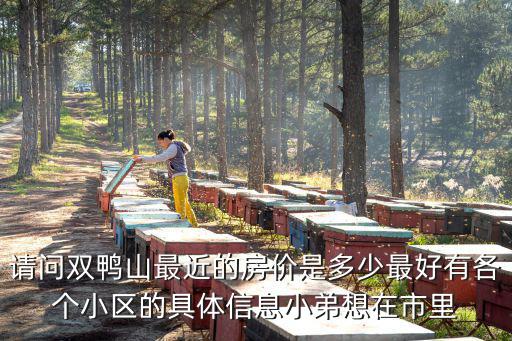 請問雙鴨山最近的房價是多少最好有各個小區(qū)的具體信息小弟想在市里