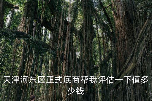 天津河東區正式底商幫我評估一下值多少錢