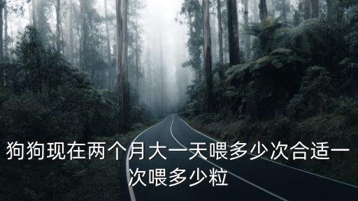 狗狗現在兩個月大一天喂多少次合適一次喂多少粒