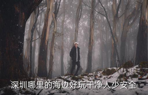 深圳哪里的海邊好玩干凈人少安全
