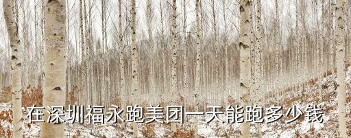 在深圳福永跑美團(tuán)一天能跑多少錢