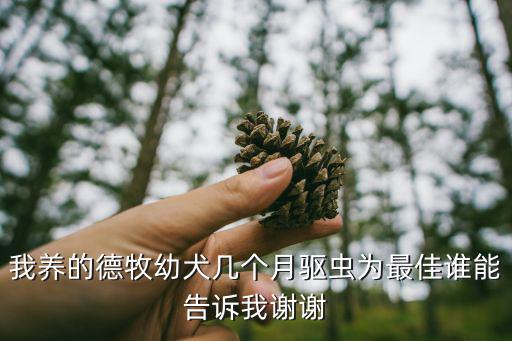 我養的德牧幼犬幾個月驅蟲為最佳誰能告訴我謝謝