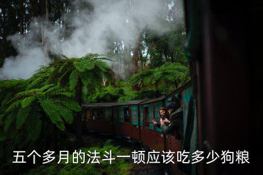 五個多月的法斗一頓應該吃多少狗糧