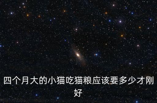 四個月大的小貓吃貓糧應該要多少才剛好