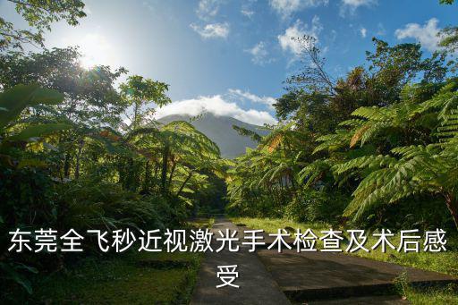 東莞全飛秒近視激光手術(shù)檢查及術(shù)后感受