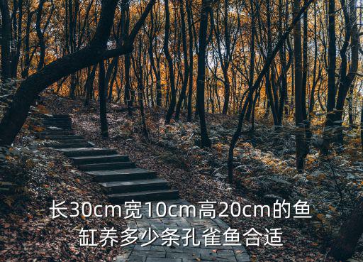 長30cm寬10cm高20cm的魚缸養多少條孔雀魚合適