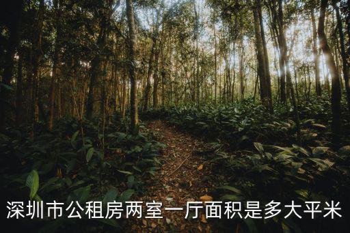 深圳市公租房兩室一廳面積是多大平米