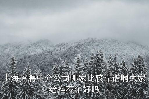 上海中介，上海招聘中介公司哪家比較靠譜啊大家給推薦個好嗎