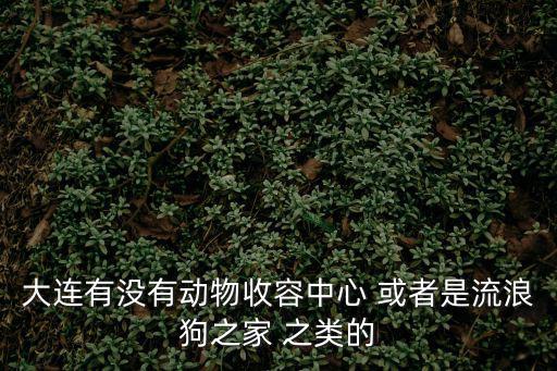 大連有沒有動物收容中心 或者是流浪狗之家 之類的