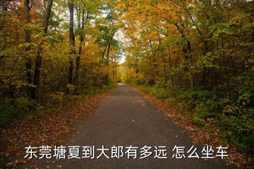 東莞塘夏到大郎有多遠(yuǎn) 怎么坐車