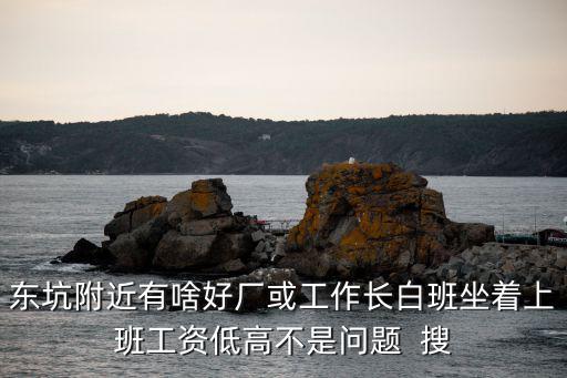 東坑附近有啥好廠或工作長白班坐著上班工資低高不是問題  搜