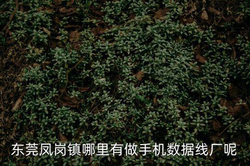 東莞鳳崗鎮(zhèn)哪里有做手機數(shù)據(jù)線廠呢