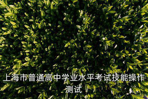 上海市普通高中學(xué)業(yè)水平考試技能操作測(cè)試