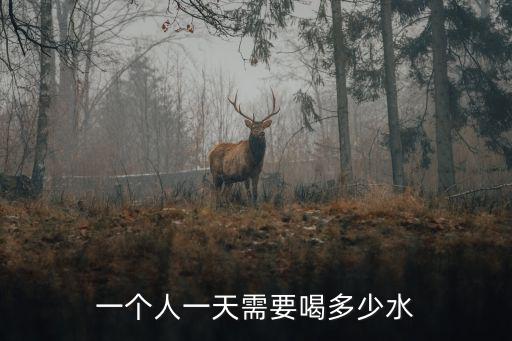 比熊一天要喝多少水，比熊幼犬要喝生水還是熟水