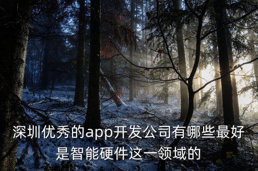 深圳可做app更新維護的公司，深圳優秀的app開發公司有哪些最好是智能硬件這一領域的