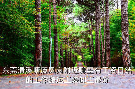 東莞清溪塘廈鳳崗附近哪里有工資日結的工作搬運工裝卸工最好