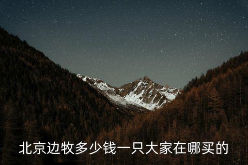 北京邊境犬多少錢一只，北京邊牧多少錢一只大家在哪買的