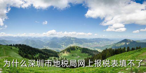 為什么深圳市地稅局網(wǎng)上報稅表填不了