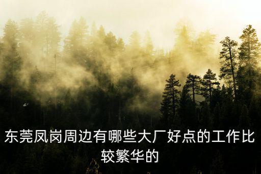 東莞鳳崗那里有大廠，在東莞鳳崗有哪些大廠