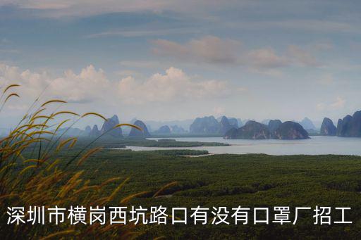 深圳市橫崗西坑路口有沒有口罩廠招工