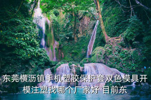 東莞橫瀝鎮(zhèn)手機(jī)塑膠保護(hù)套雙色模具開模注塑找哪個(gè)廠家好 目前東
