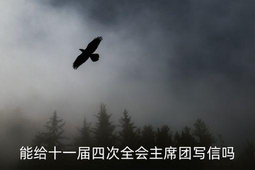 上海市委十一屆四次全會熱議，能給十一屆四次全會主席團寫信嗎