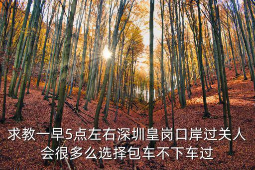 求教一早5點(diǎn)左右深圳皇崗口岸過關(guān)人會(huì)很多么選擇包車不下車過