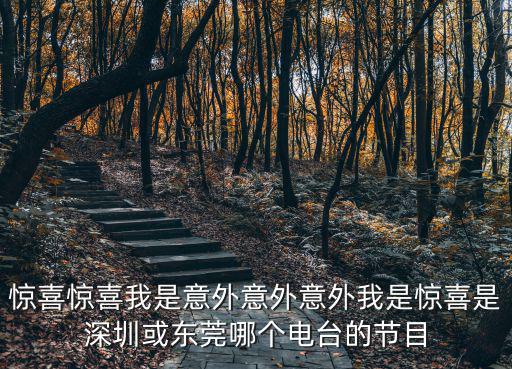 驚喜驚喜我是意外意外意外我是驚喜是深圳或東莞哪個電臺的節目