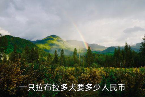 一只拉布拉多犬要多少人民幣