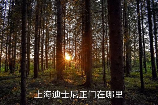 上海迪士尼正門在哪里