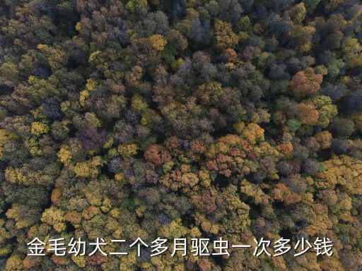 金毛幼犬二個多月驅蟲一次多少錢