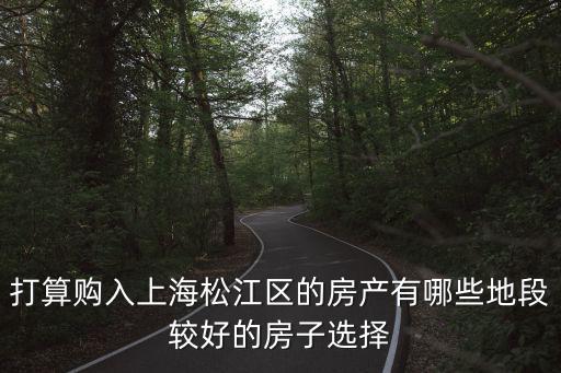 上海房價哪個板塊好，在上海買房張江和川沙和臨港新城哪個房價潛力大