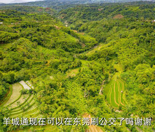 羊城通現(xiàn)在可以在東莞刷公交了嗎謝謝