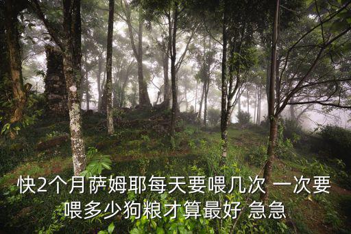 快2個月薩姆耶每天要喂幾次 一次要喂多少狗糧才算最好 急急