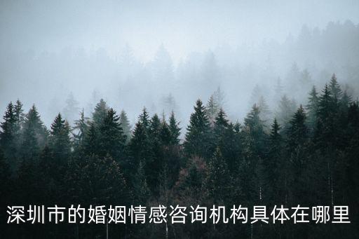 深圳市的婚姻情感咨詢機構具體在哪里