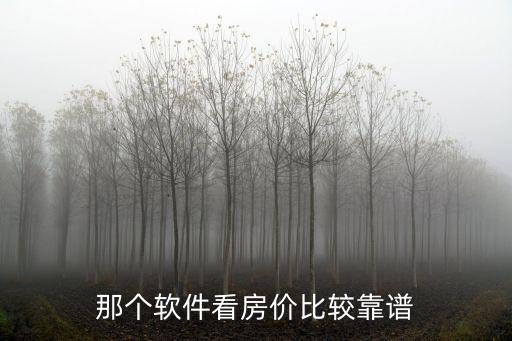那個軟件看房價比較靠譜