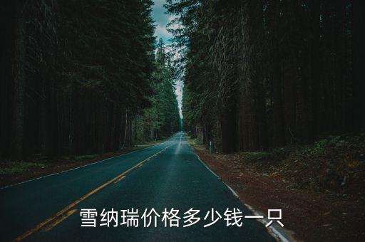 雪納瑞價格多少錢一只