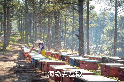 上海繳費基數