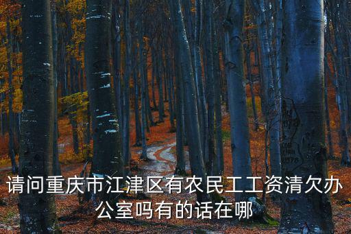 請(qǐng)問(wèn)重慶市江津區(qū)有農(nóng)民工工資清欠辦公室嗎有的話(huà)在哪