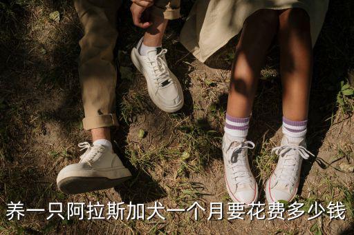 阿拉斯加犬兩個月大多少錢一個，養(yǎng)一只阿拉斯加犬一個月要花費多少錢